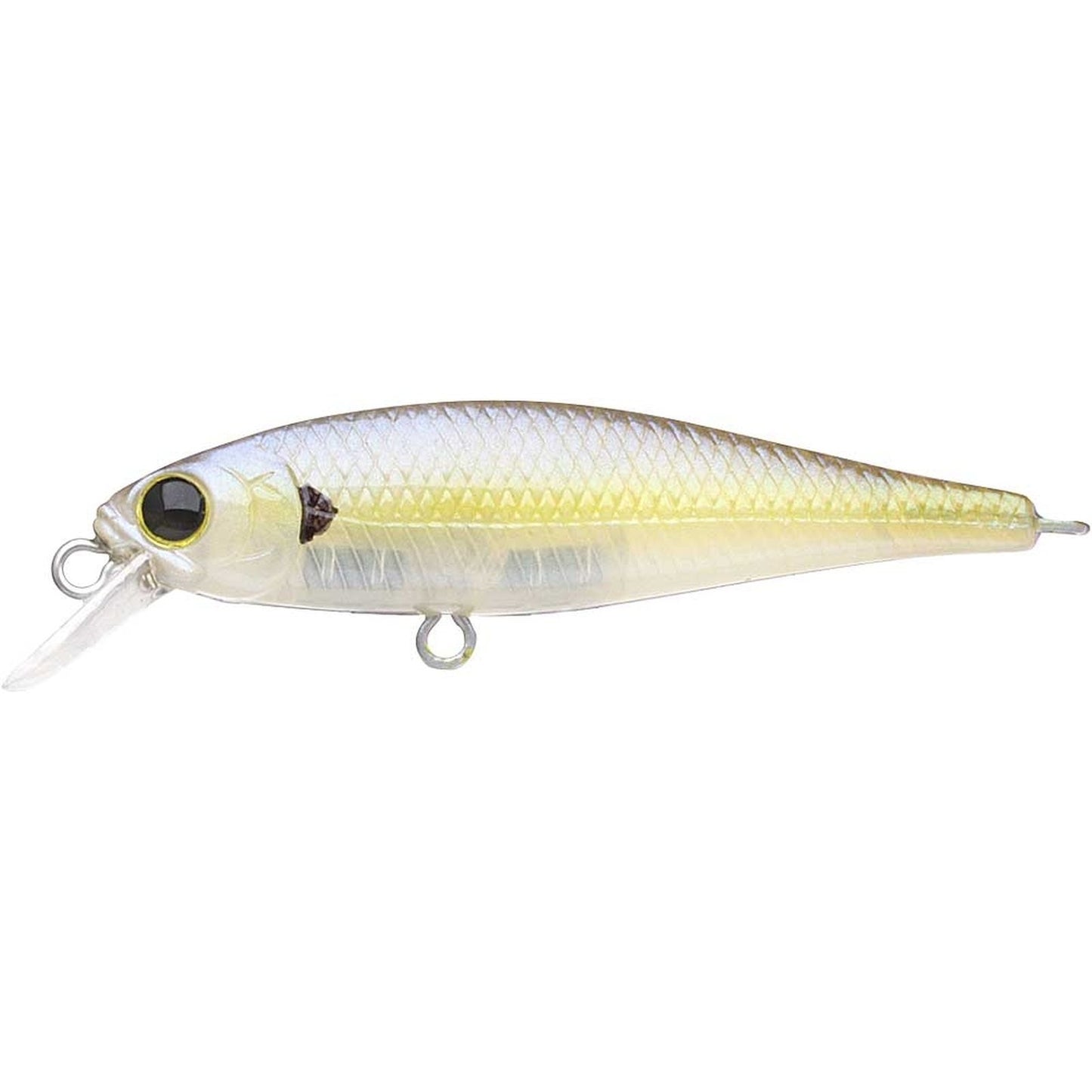Lucky Craft Pointer 48 SP 250 Chartreuse Shad