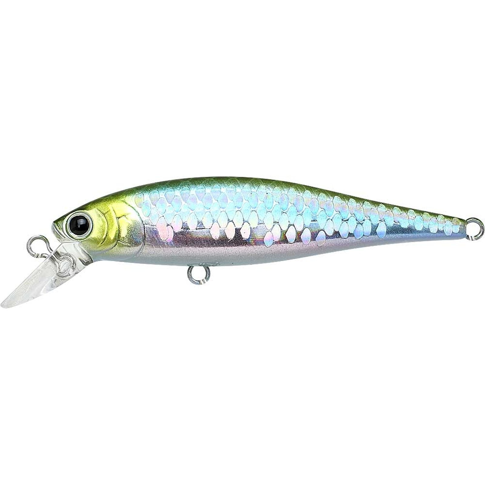 Lucky Craft Pointer 65 SP 0739 MS Japan Shad JP
