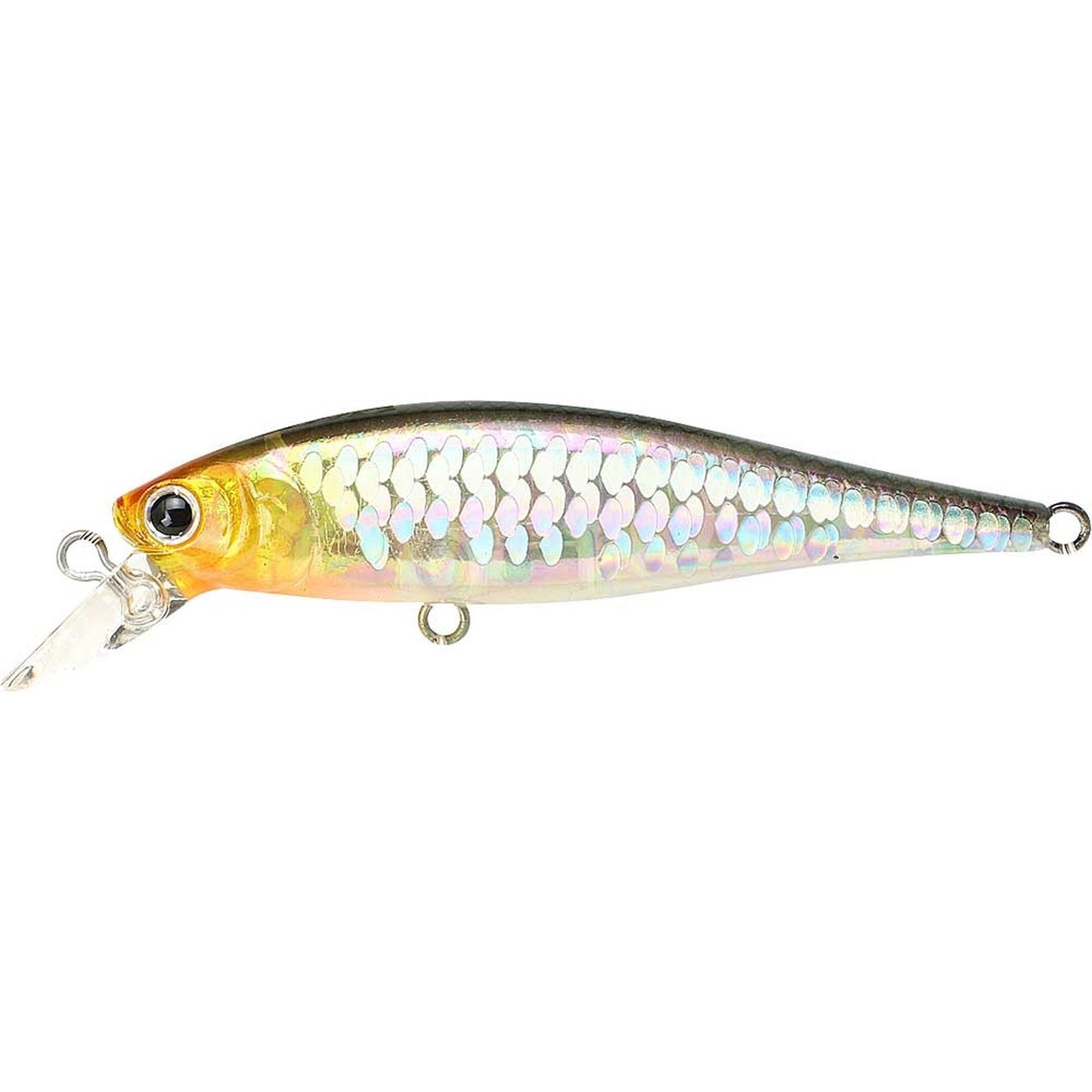 Lucky Craft Pointer 65 SP 1229 MS Impuls Shad JP