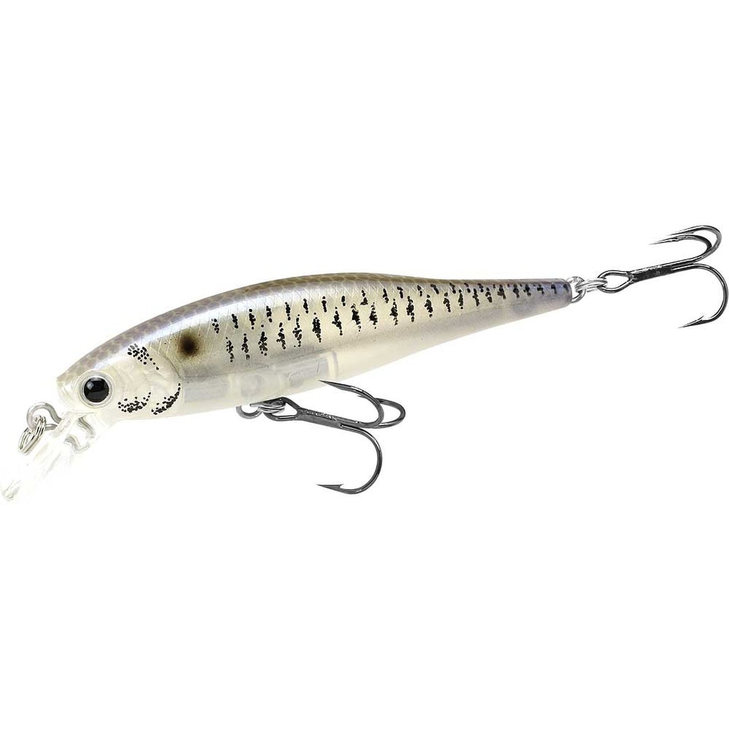 Lucky Craft Pointer 65 SP 811 Live Striped Shad