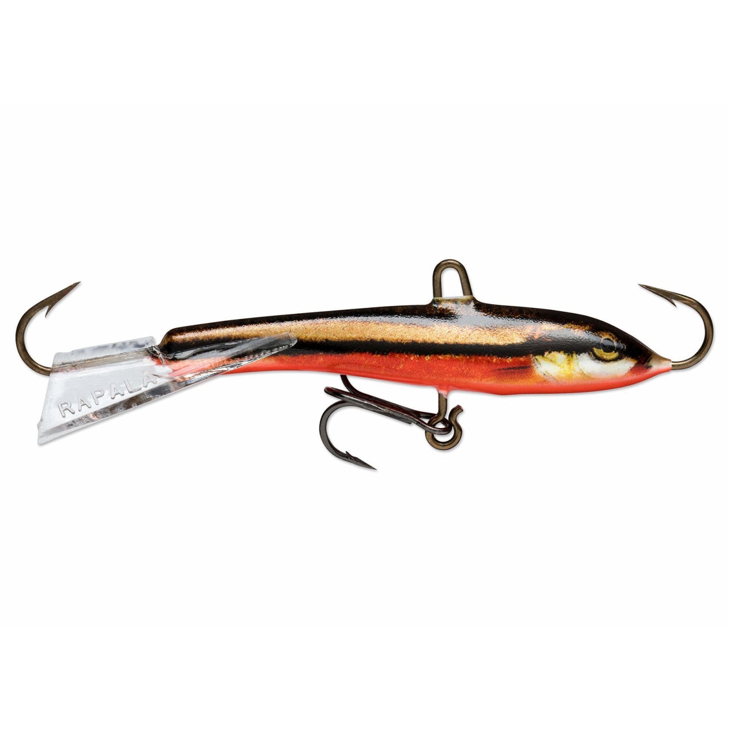 Rapala Jigging Rap RBDL Redbelly Dace Live