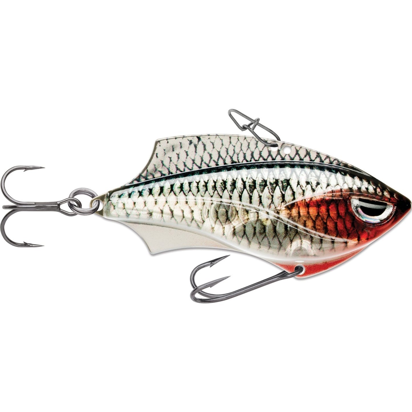 Rapala Rap V Blade 6 ROL Live Roach