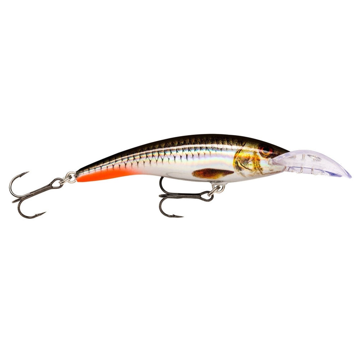 Rapala Scatter Rap Tail Dancer 9 ROHL Live Hologram Roach