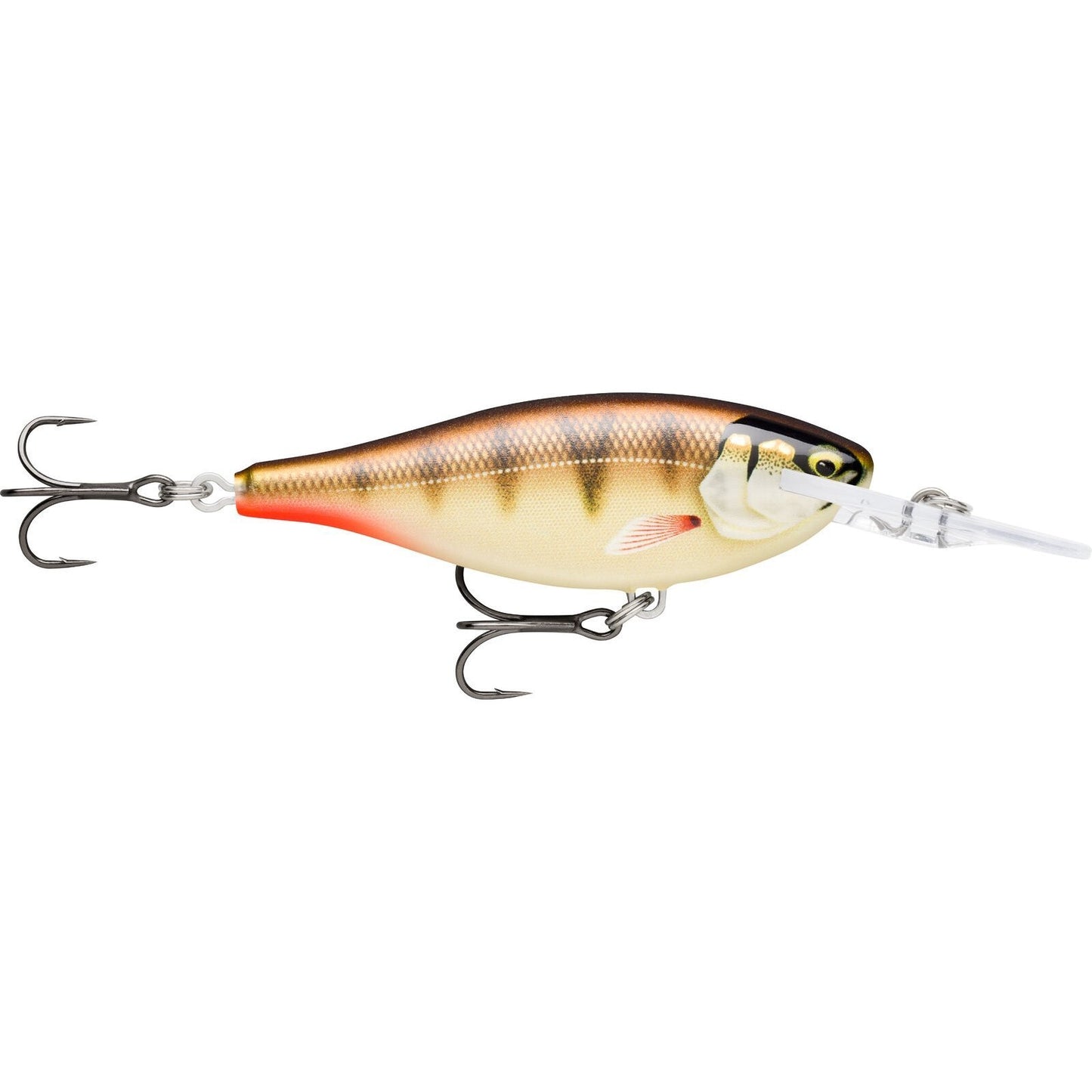 Rapala Shad Rap Elite GDCP Gilded Copper Perch