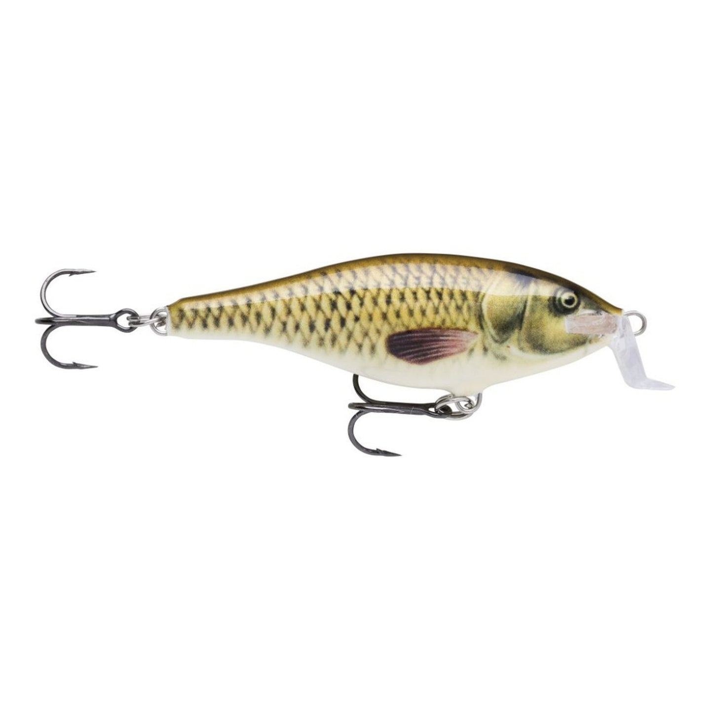 Rapala Shad Rap Shallow Runner CARP