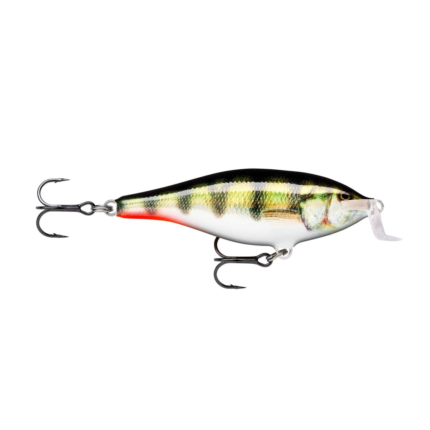 Rapala Shad Rap Shallow Runner PEHL Live Hologram Perch