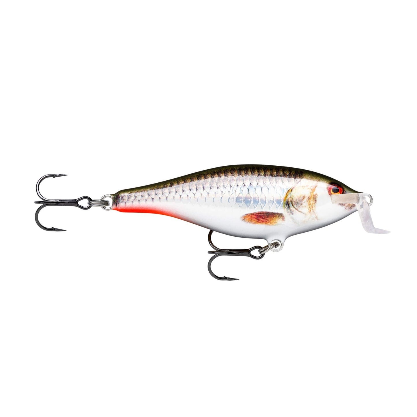 Rapala Shad Rap Shallow Runner ROHL Live Hologram Roach