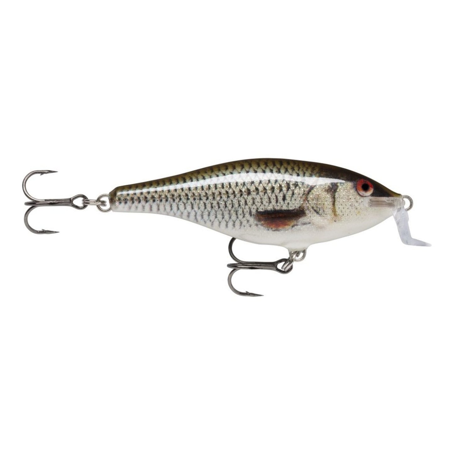 Rapala Shad Rap Shallow Runner ROL Live Roach