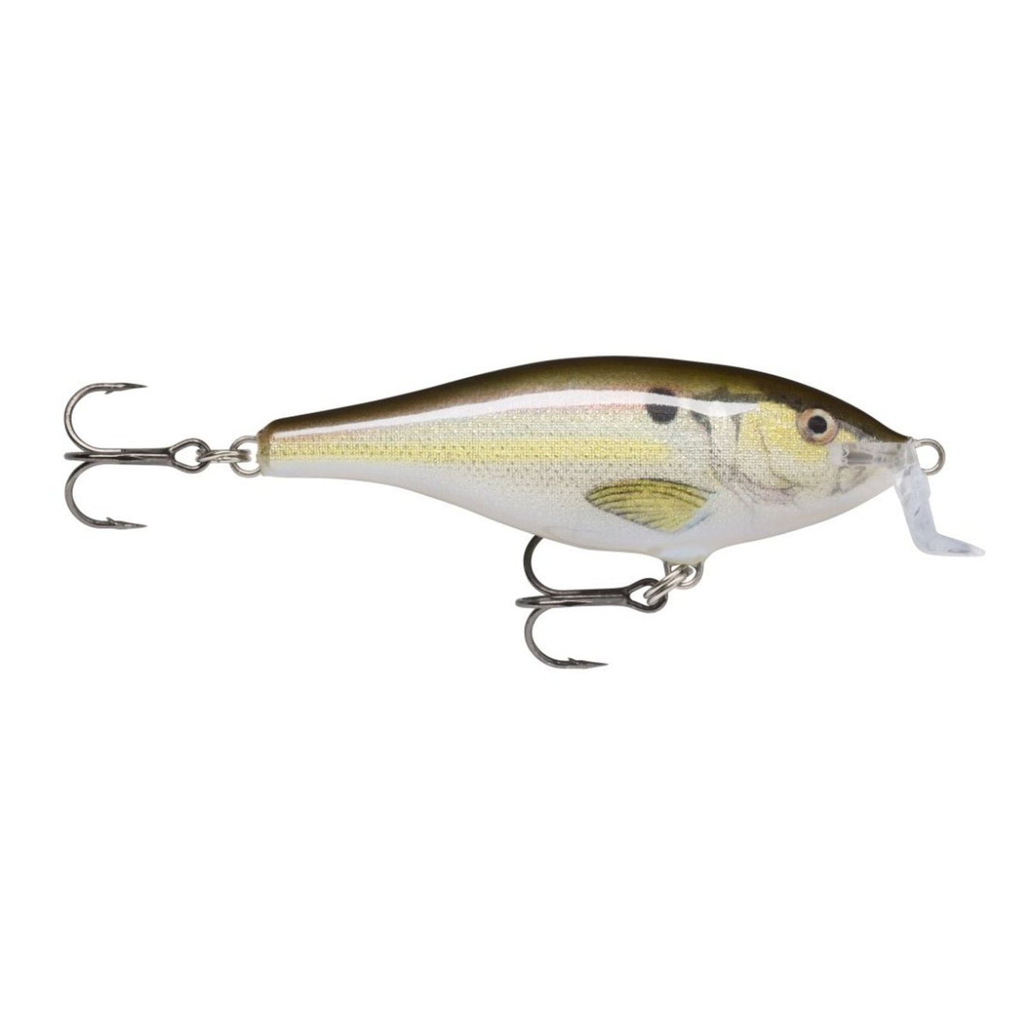 Rapala Shad Rap Shallow Runner RSL Live River Shad