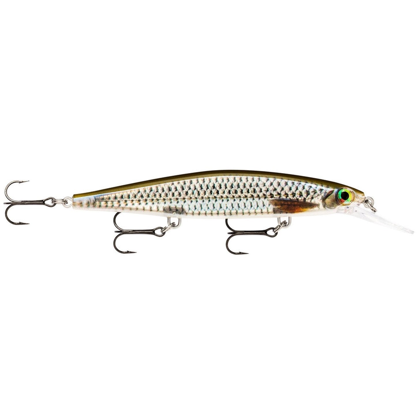 Rapala Shadow Rap Deep 11 ROL Live Roach