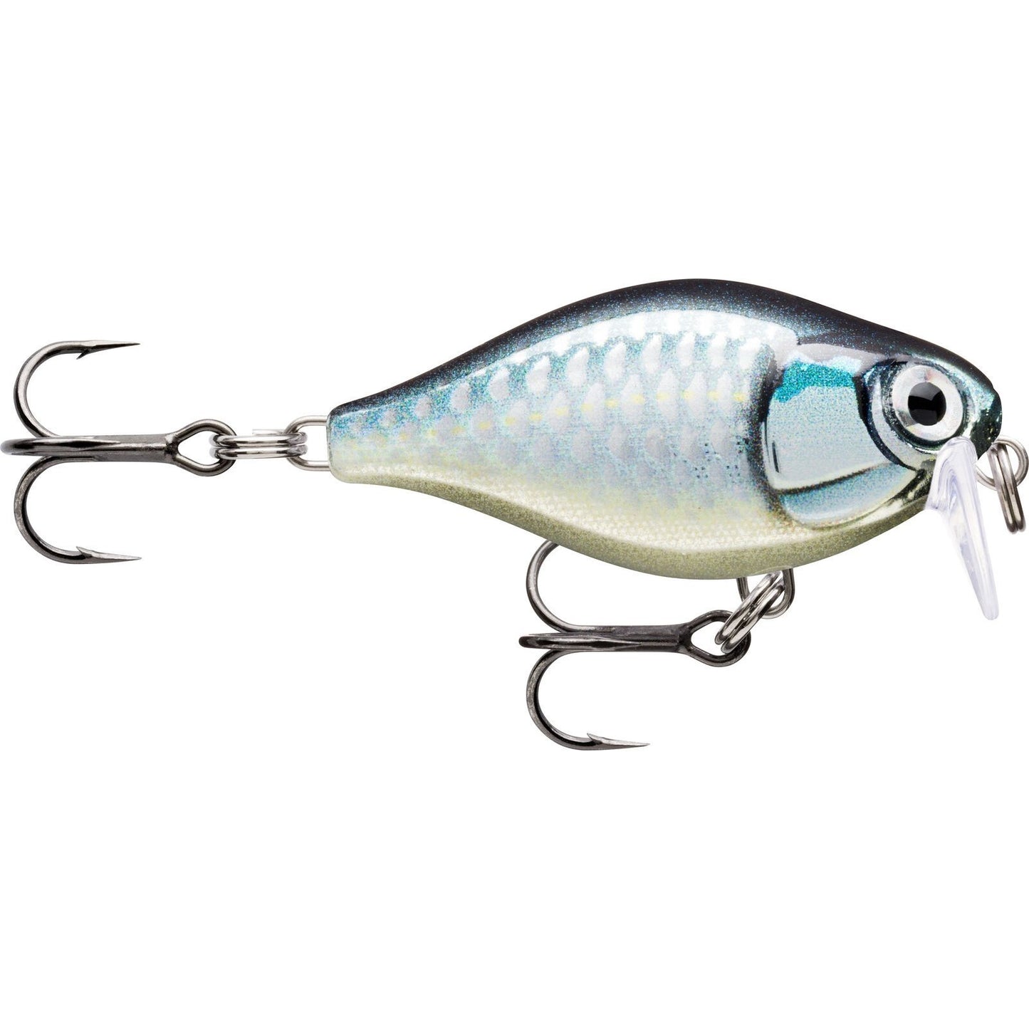 Rapala X Light Crank Shallow Runner BAP Baby Aspius