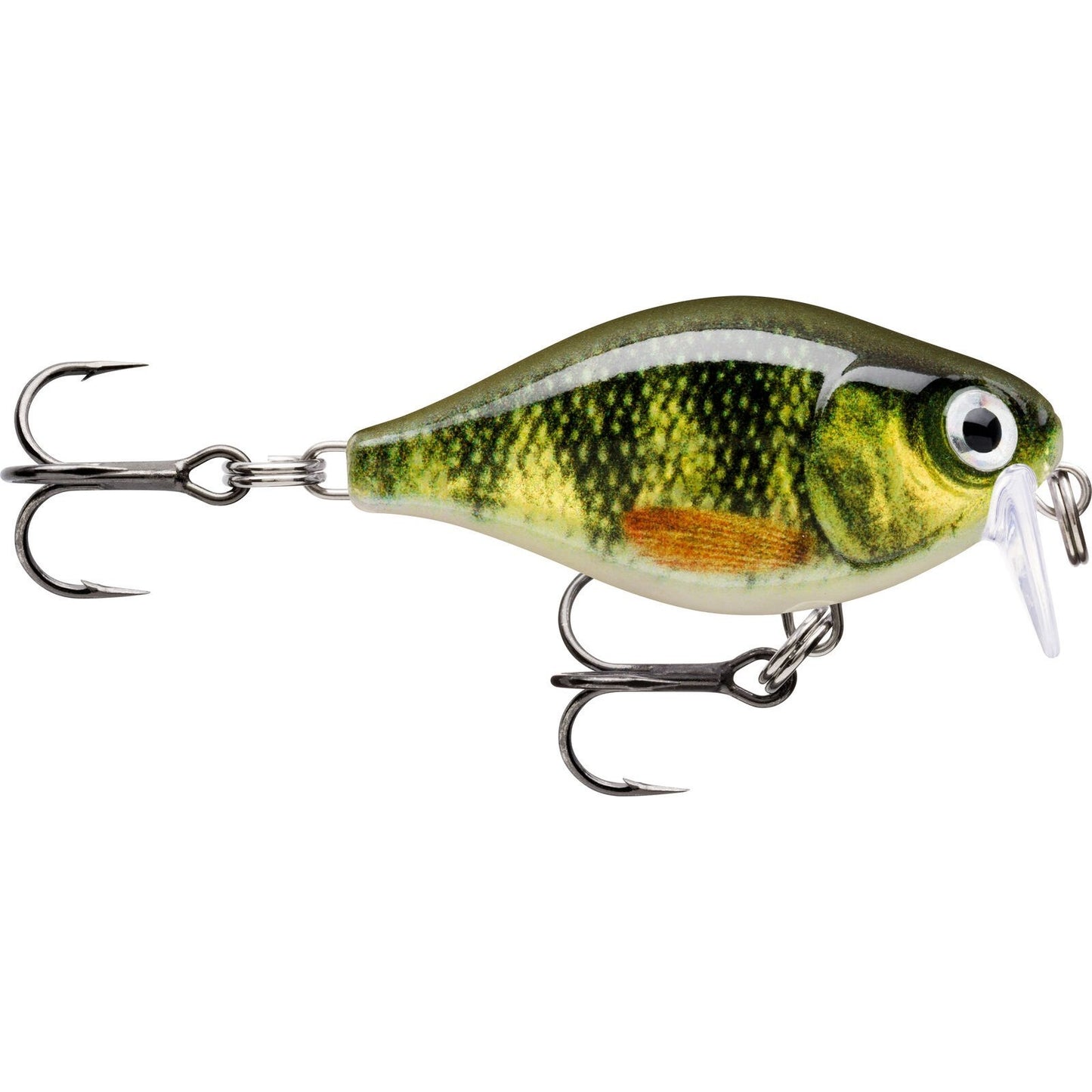 Rapala X Light Crank Shallow Runner PEL Live Perch