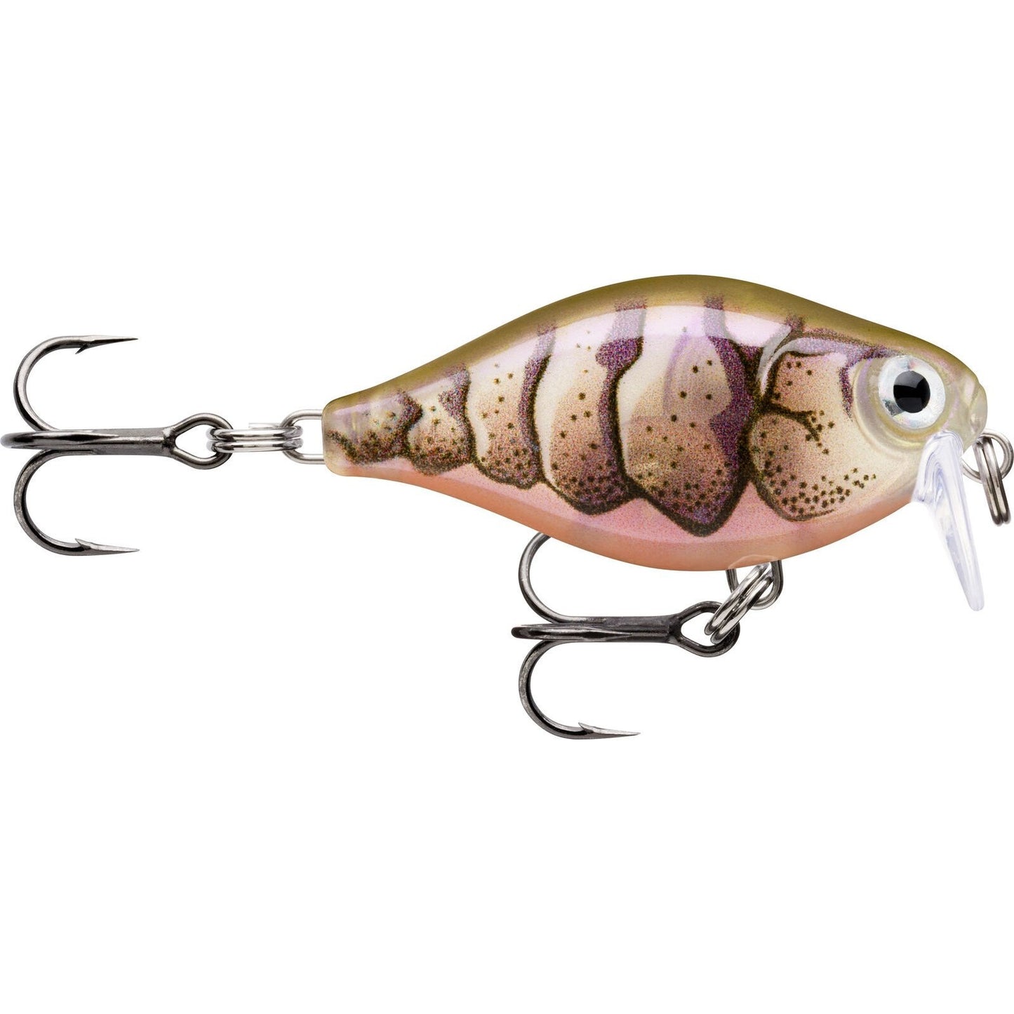 Rapala X Light Crank Shallow Runner PUPU Purple Prawn UV