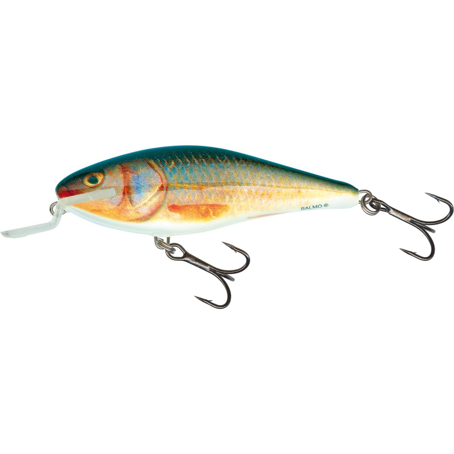 Salmo EXECUTOR SR 12 Real Roach