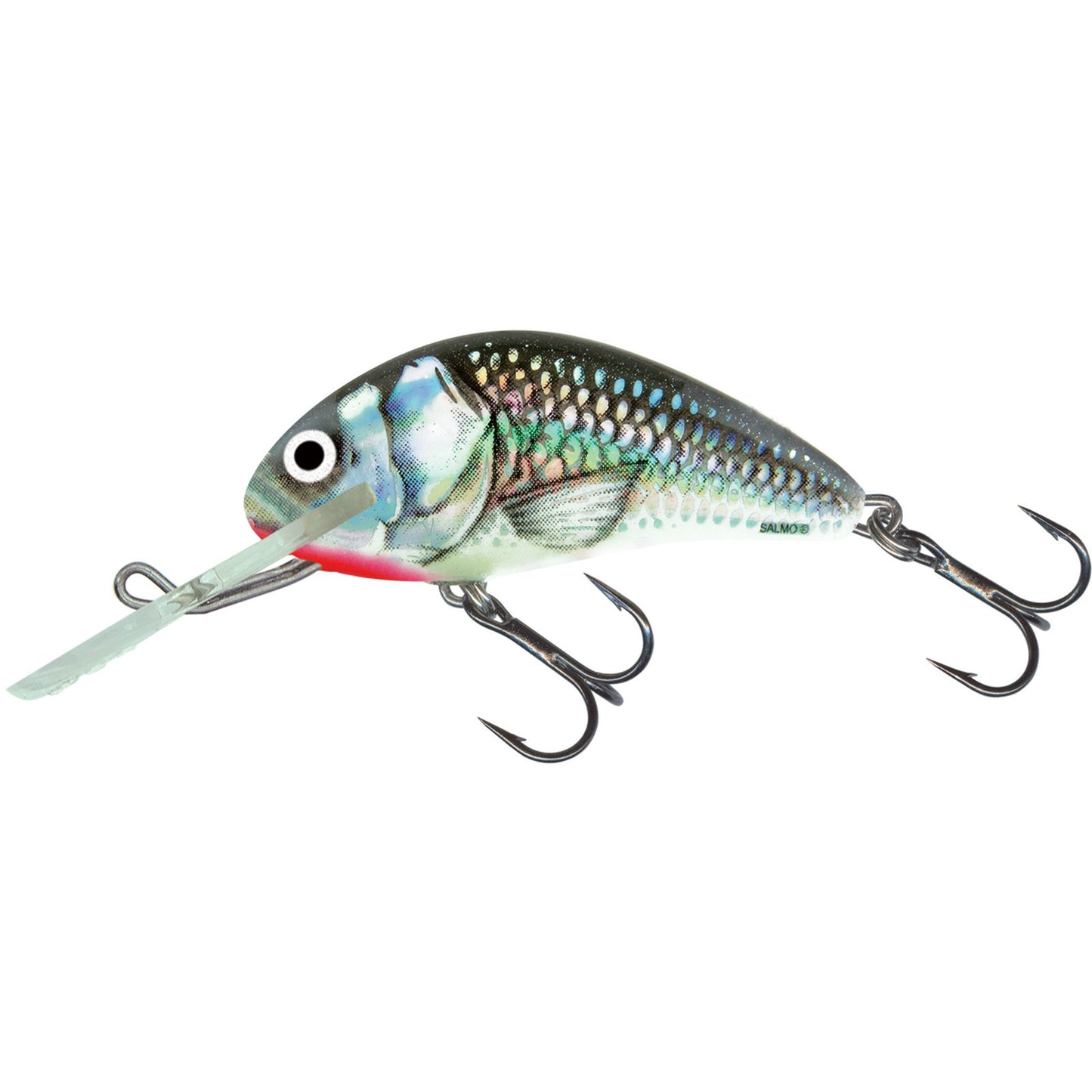 Salmo HORNET SINKING 6 Holo Grey Shiner