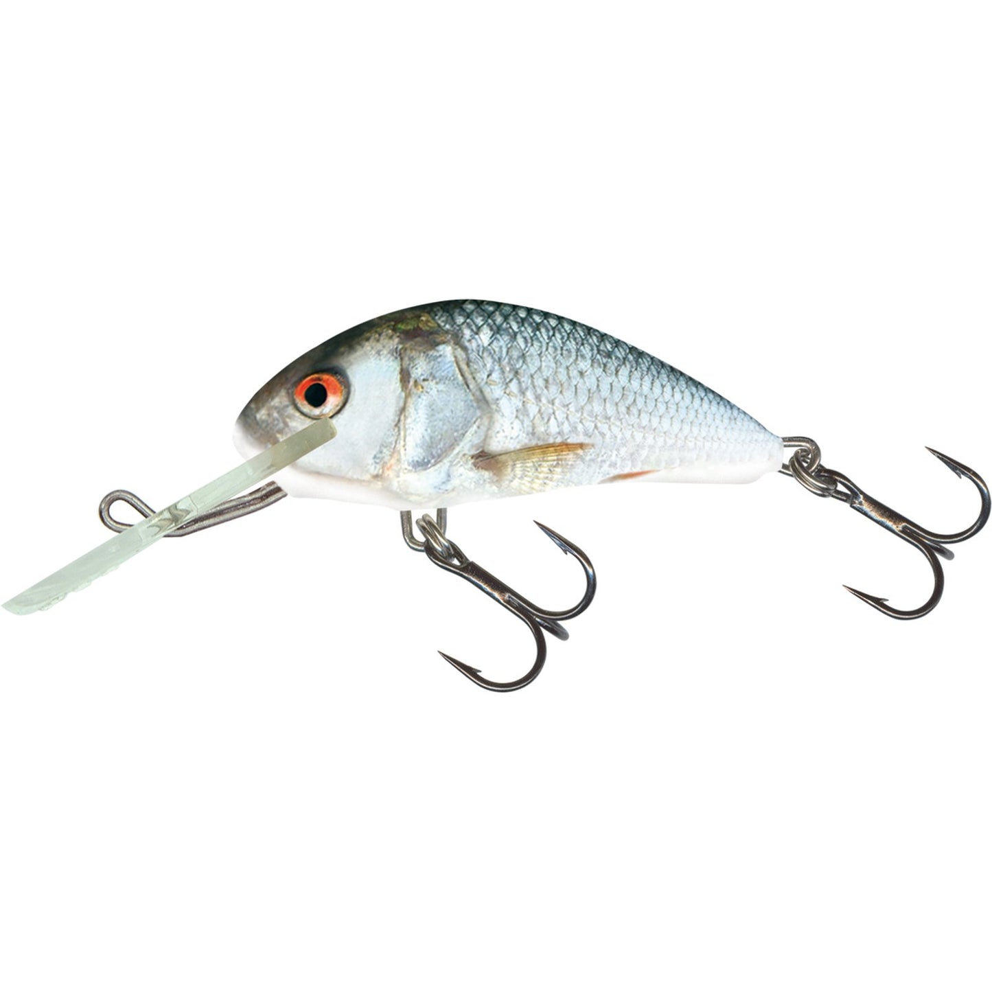 Salmo HORNET SINKING 6 Real Dace