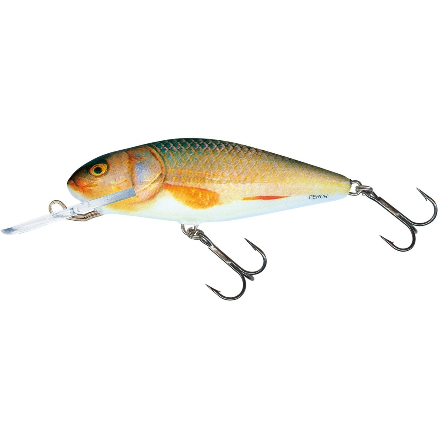 Salmo PERCH DR 8 Real Roach