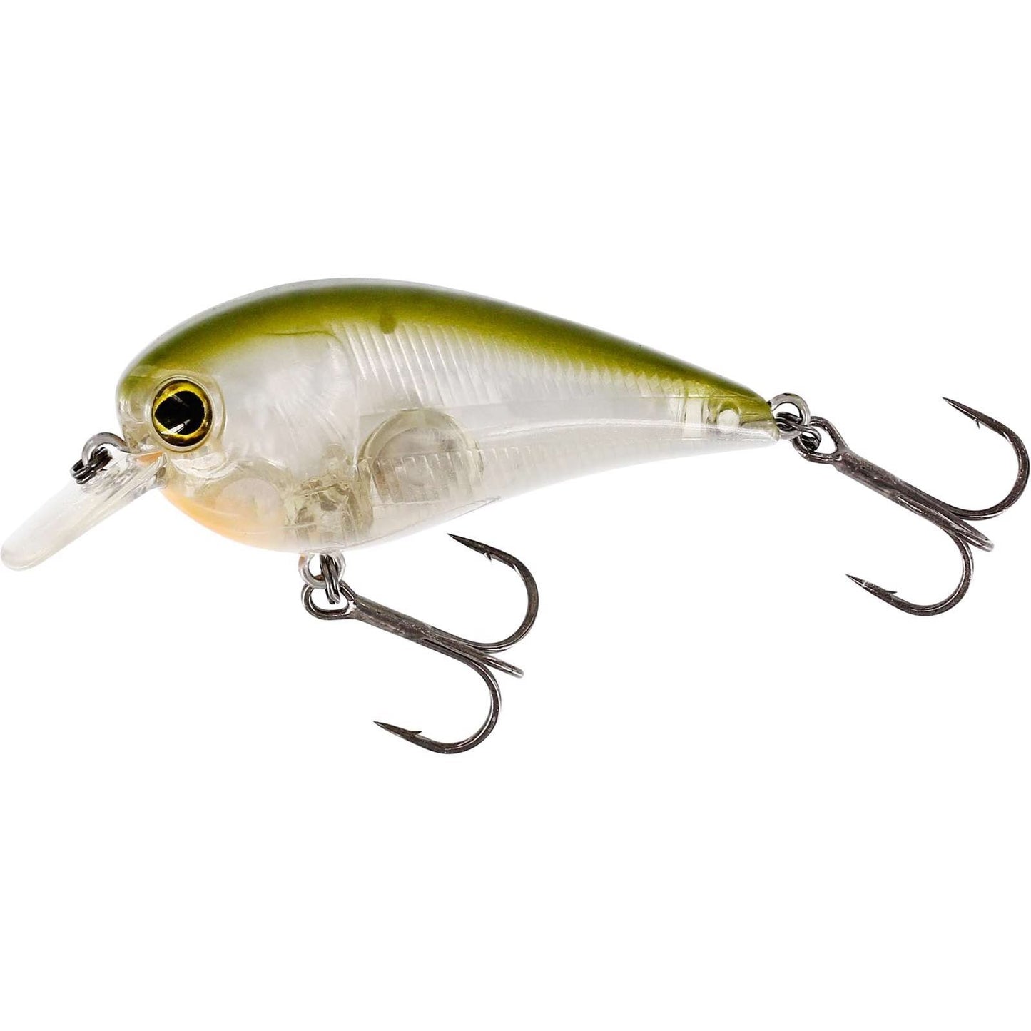 Westin Bassbite Squarebill Clear Olive