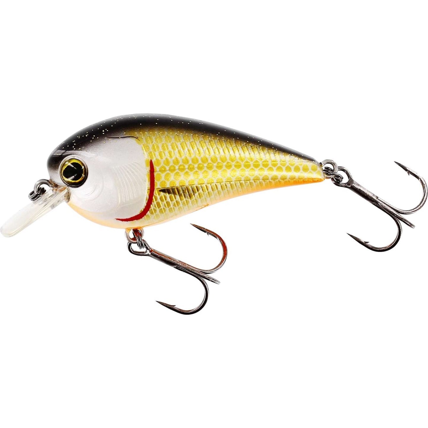 Westin Bassbite Squarebill Official Roach