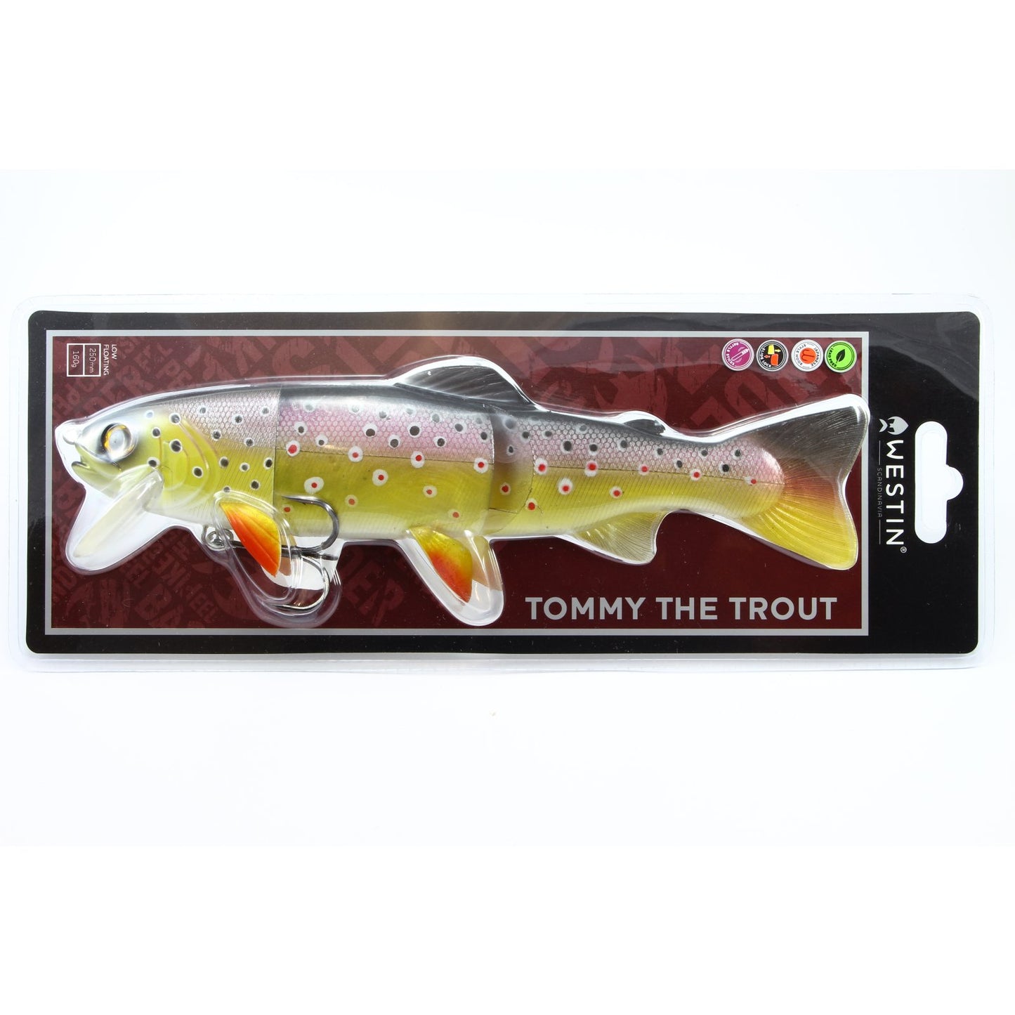 Westin Tommy The Trout Brook Trout