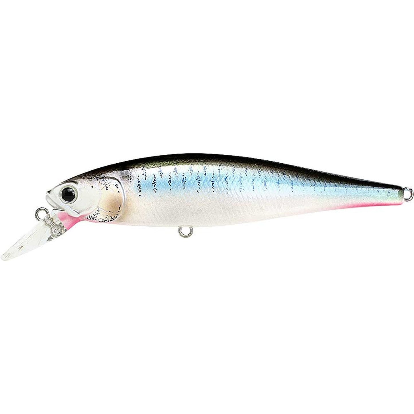 Lucky Craft Pointer 100 SP 425 Live Threadfin Shad