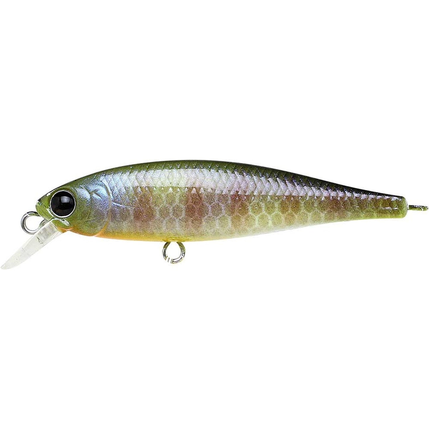 Lucky Craft Pointer 48 SP 269 BE Gill