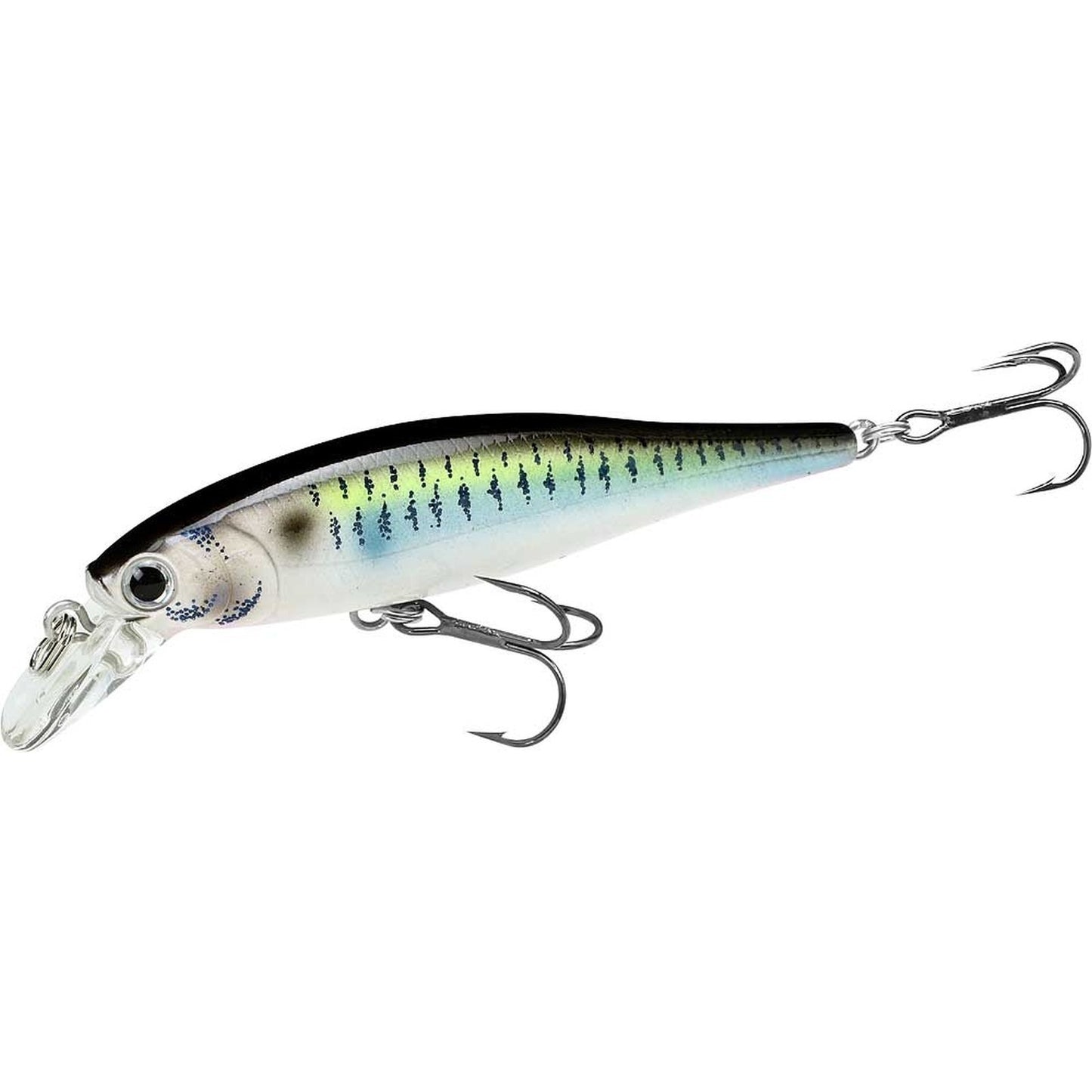 Lucky Craft Pointer 65 SP 425 Live Threadfin Shad