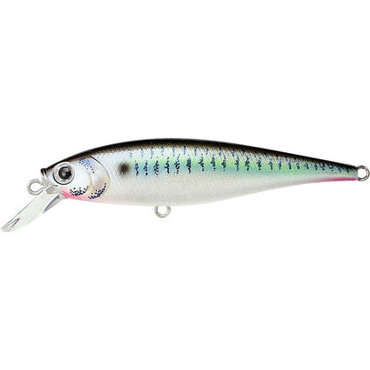 Lucky Craft Pointer 78 SP 425 Live Threadfin Shad