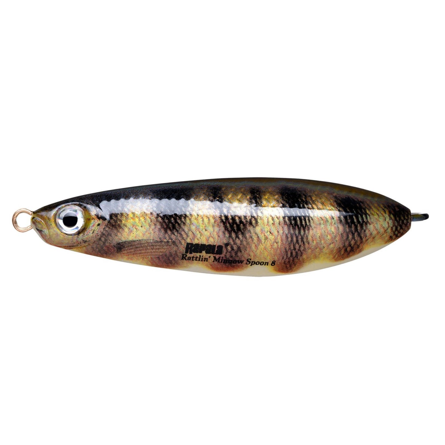 Rapala Rattlin Minnow Spoon 8 PEL Live Perch