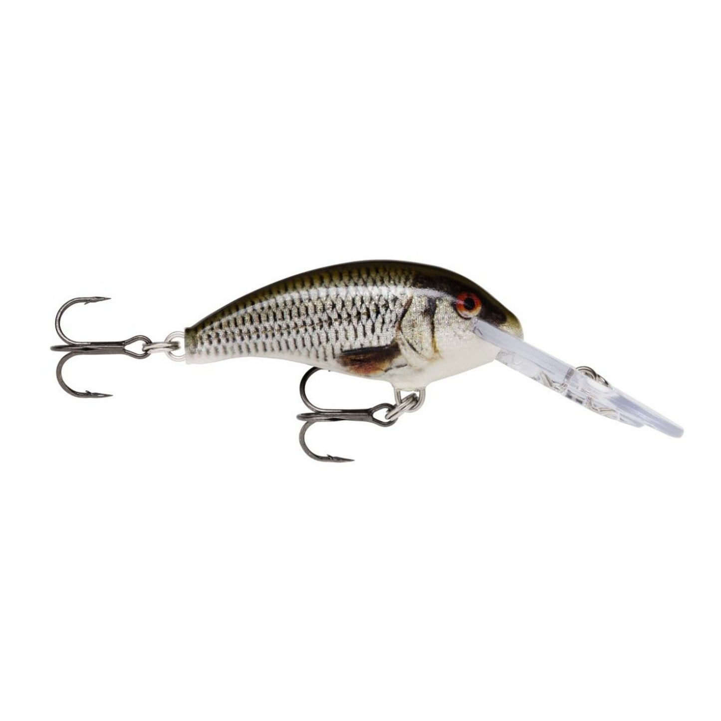 Rapala Shad Dancer 5 ROL Live Roach