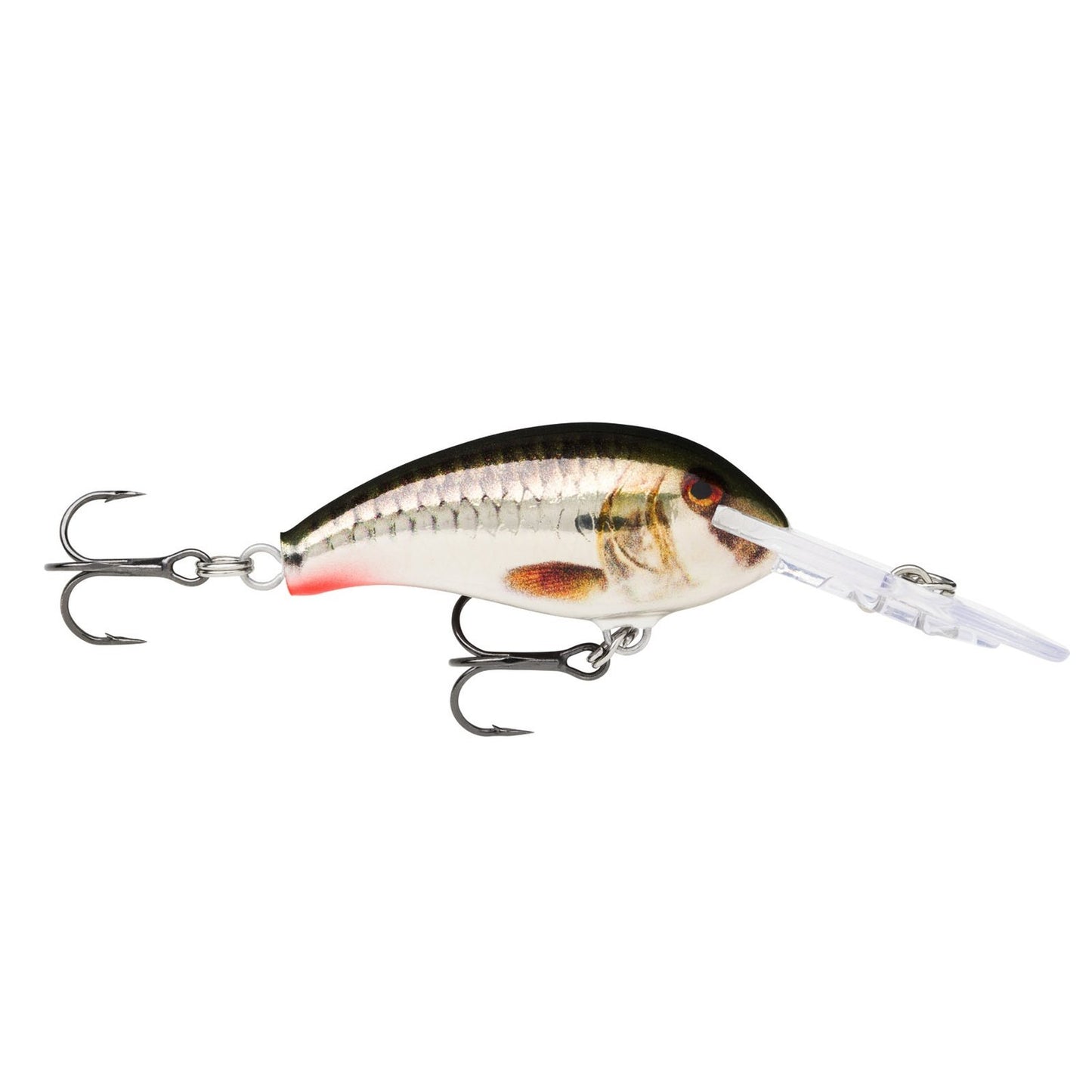 Rapala Shad Dancer 5 ROML Live Metallic Roach