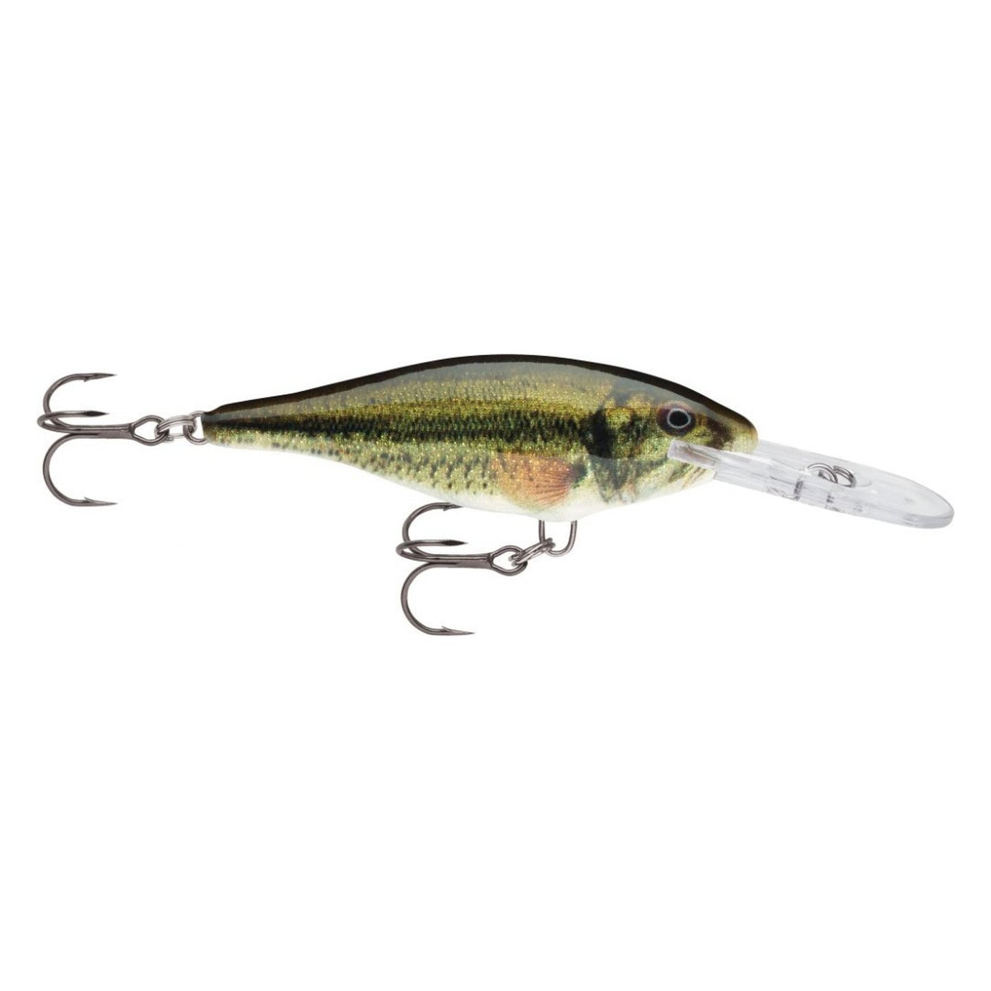 Rapala Shad Rap Deep Runner LBL Live Largemouth Bass