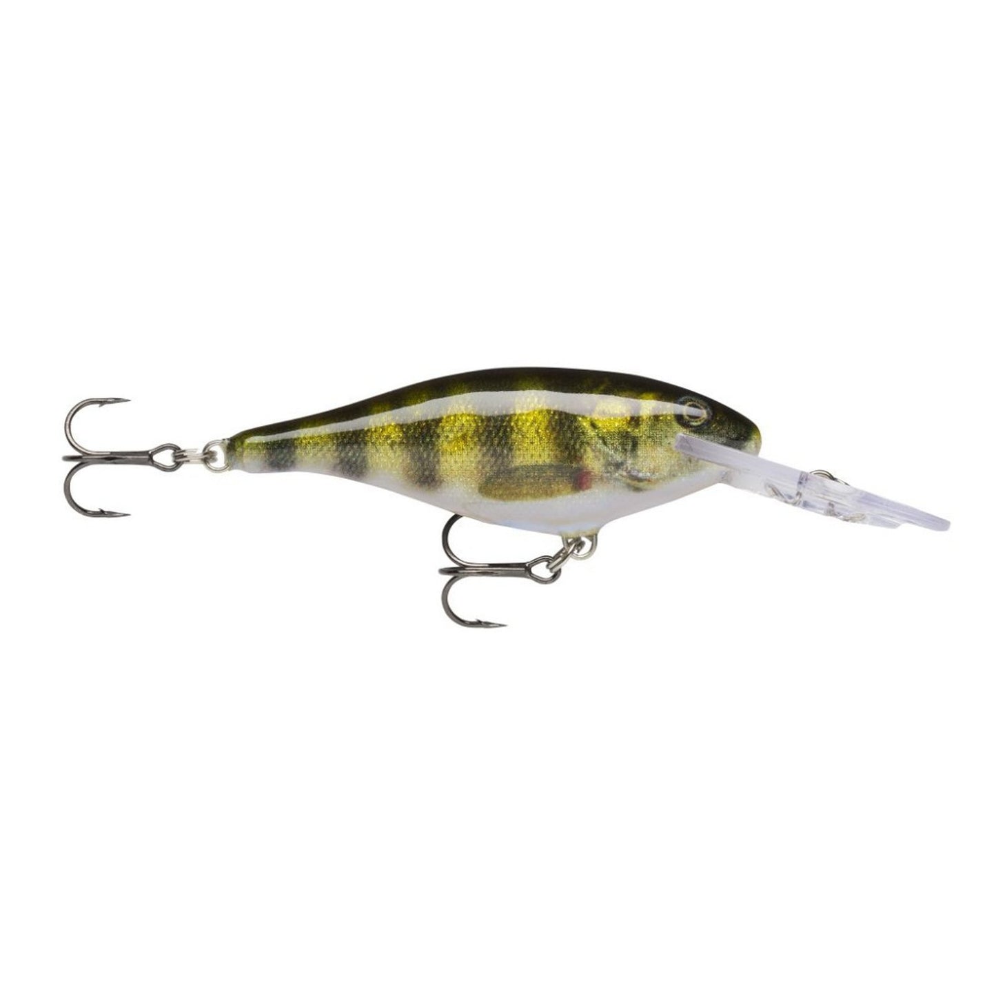 Rapala Shad Rap Deep Runner PEL Live Perch