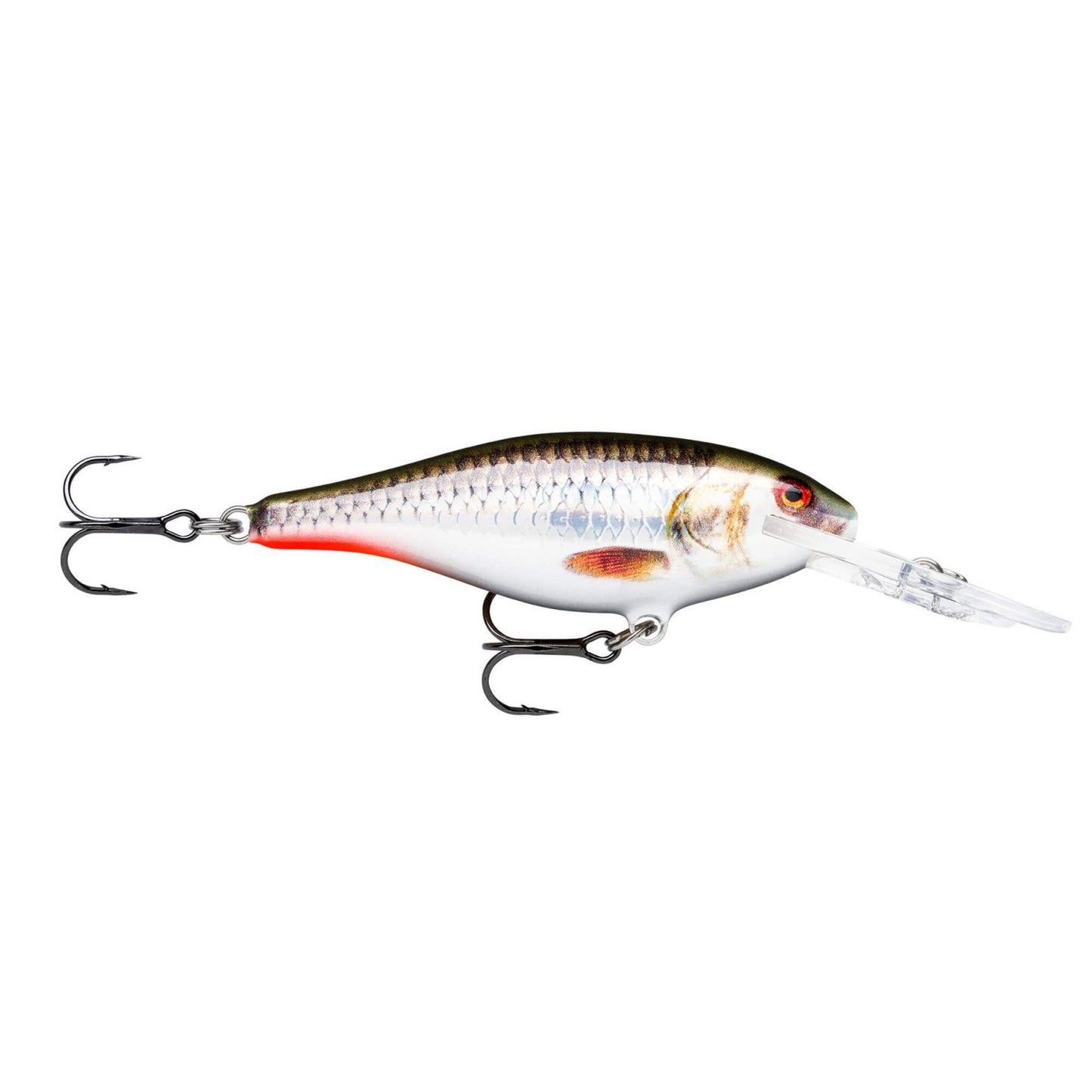 Rapala Shad Rap Deep Runner ROHL Live Hologram Roach