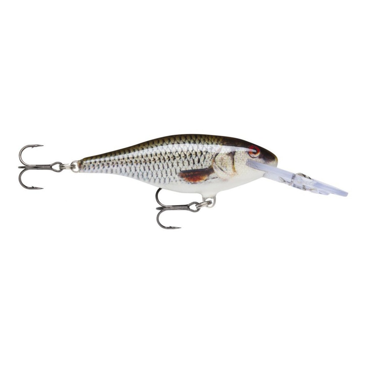 Rapala Shad Rap Deep Runner ROL Live Roach