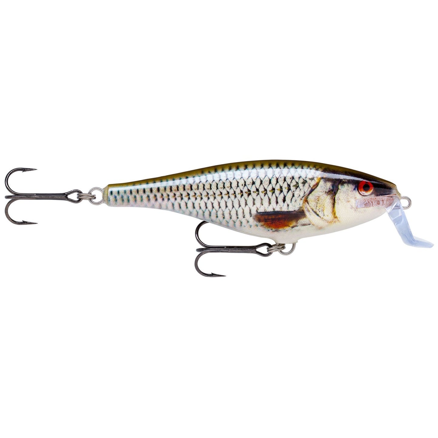 Rapala Super Shad Rap ROL Live Roach