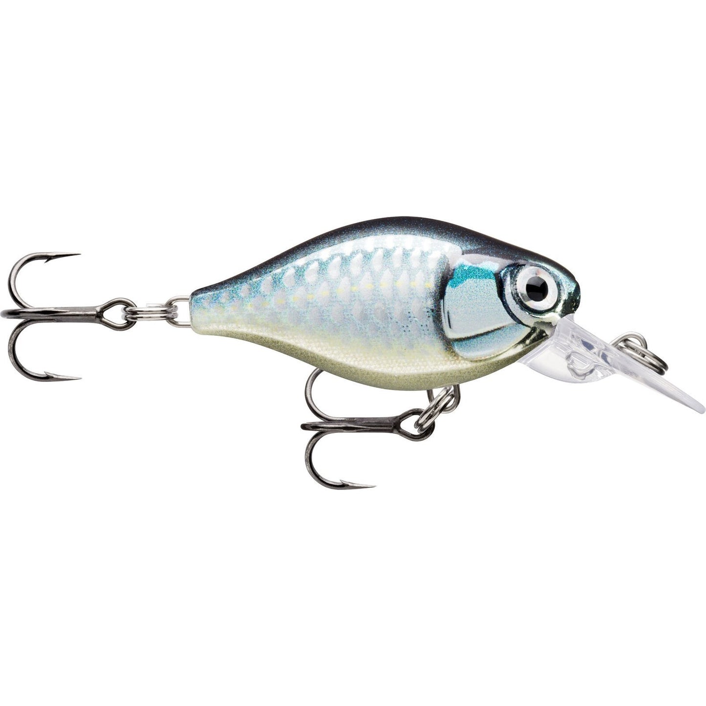 Rapala X Light Crank Mid Runner BAP Baby Aspius