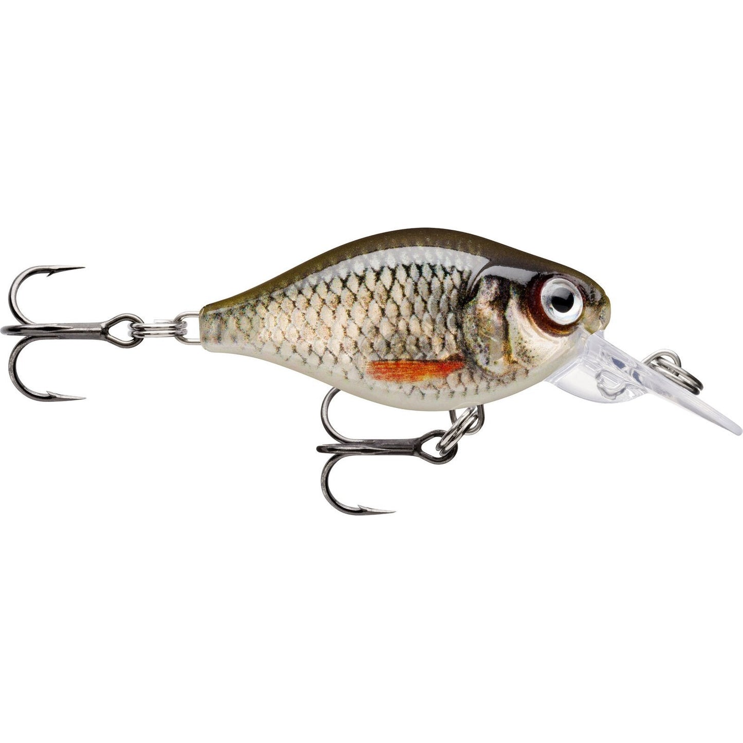 Rapala X Light Crank Mid Runner ROL Live Roach