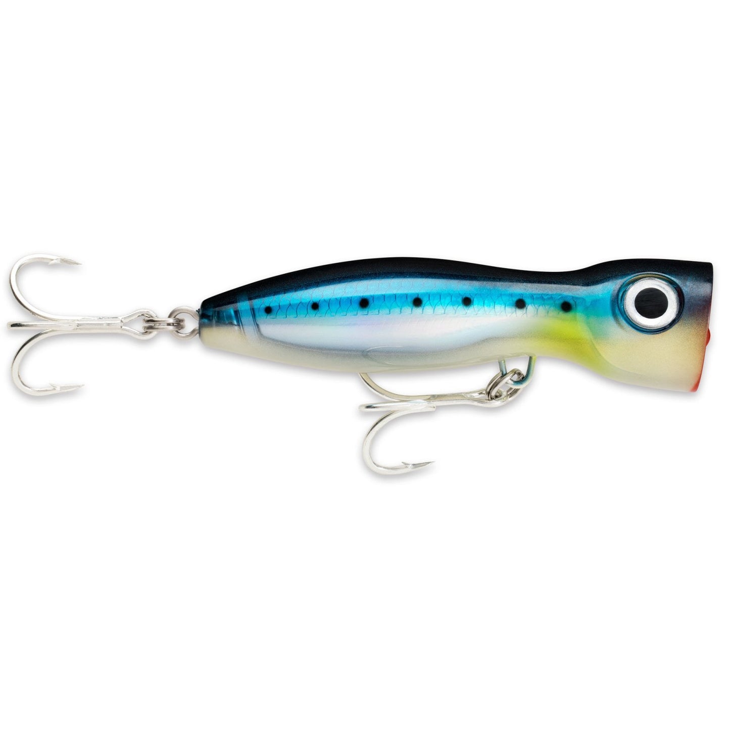 Rapala X Rap Magnum Xplode BSRD Blue Sardine