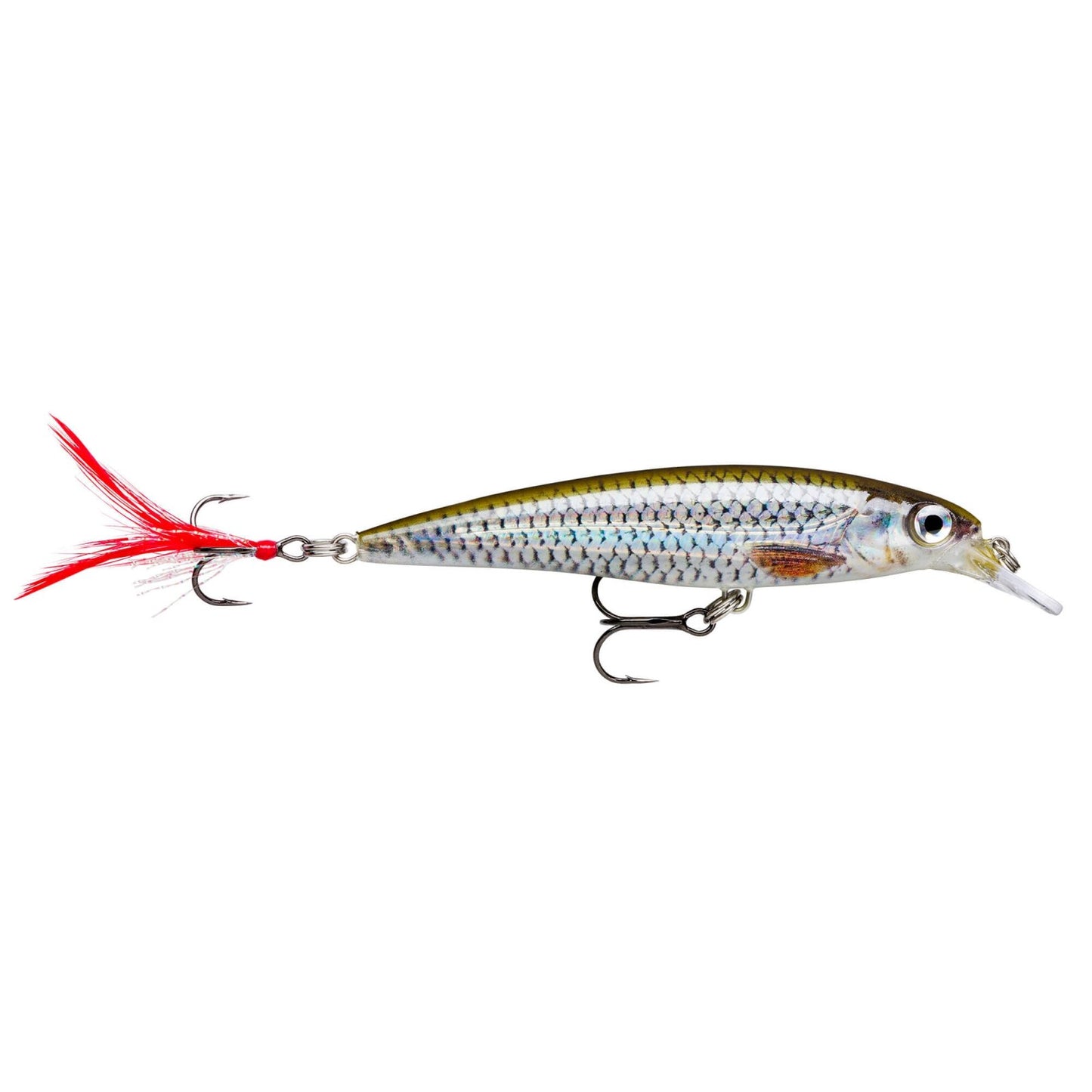 Rapala X Rap ROL Live Roach