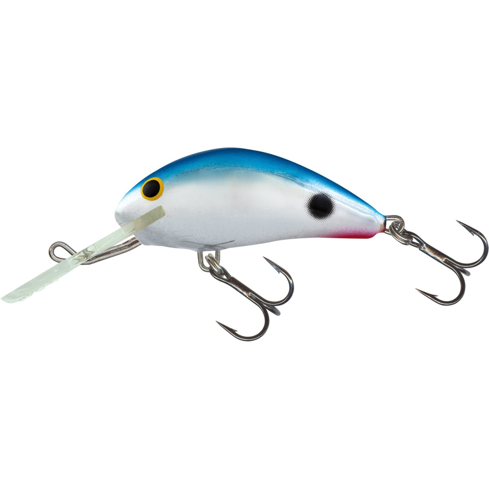 Salmo HORNET FLOATING 6 Red Tail Shiner
