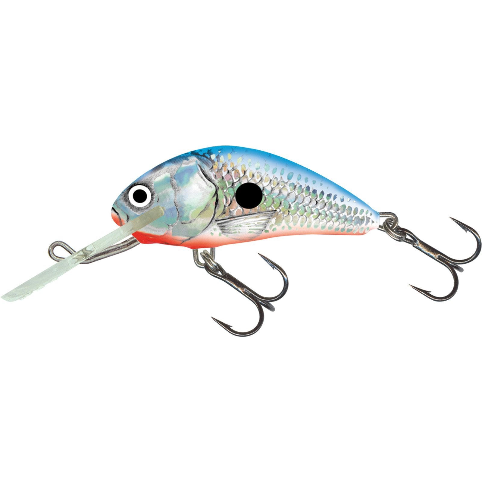 Salmo HORNET FLOATING 6 Silver Blue Shad