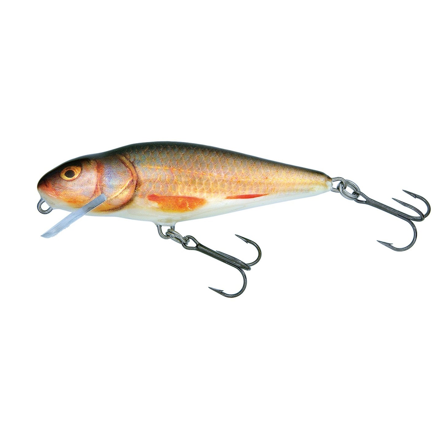 Salmo PERCH SR 12 Real Roach