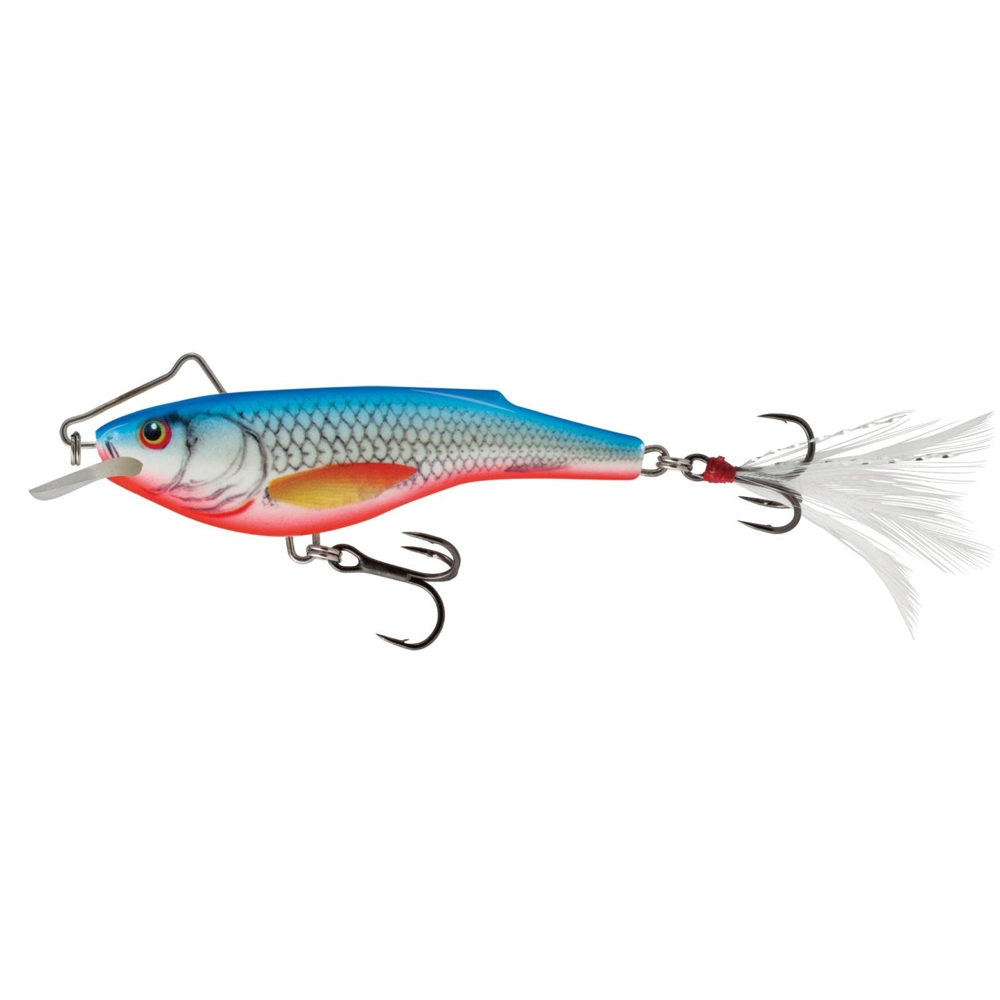 Salmo RAIL SHAD 6 cm Dace Blue