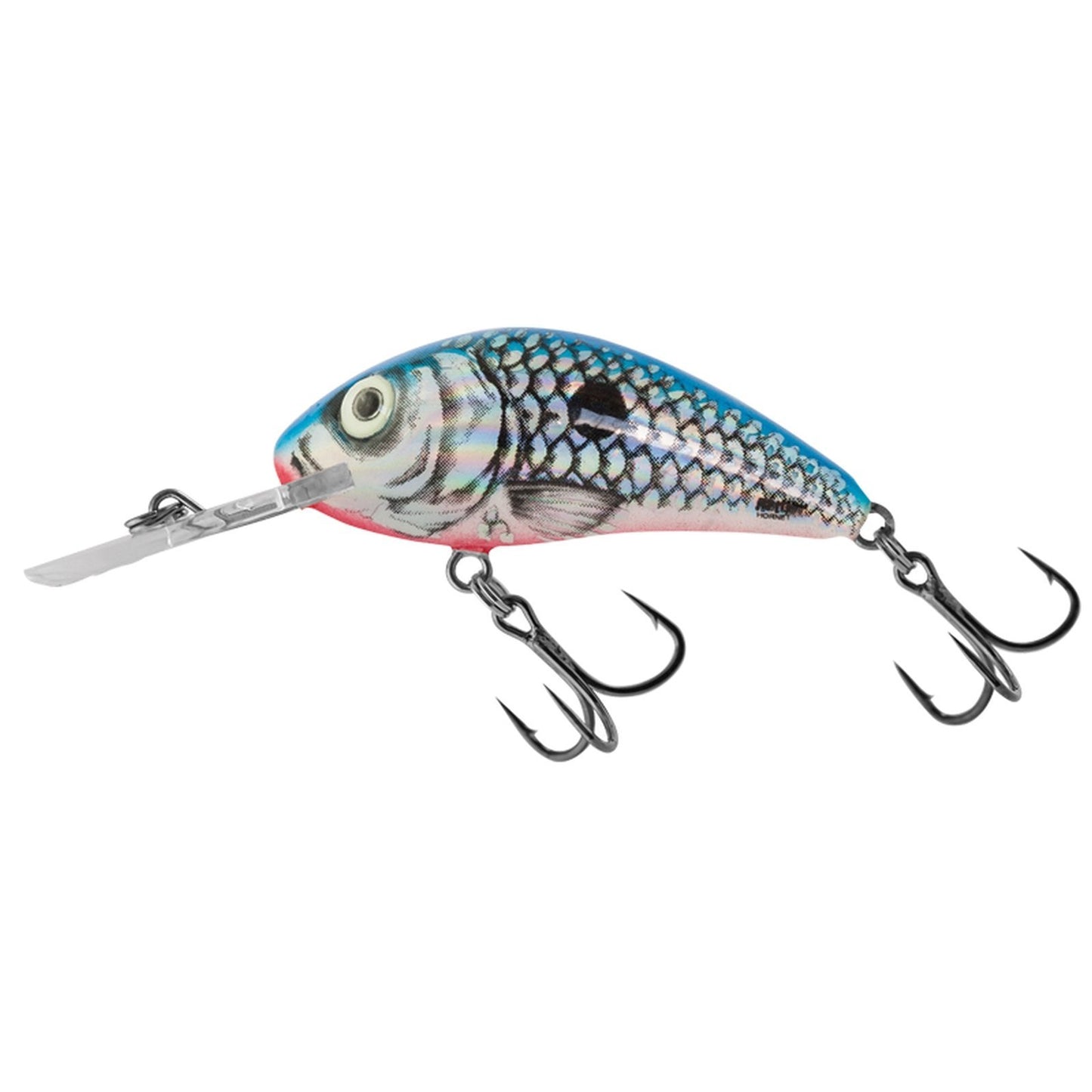 Salmo RATTLIN HORNET F 55 Silver Blue Shad