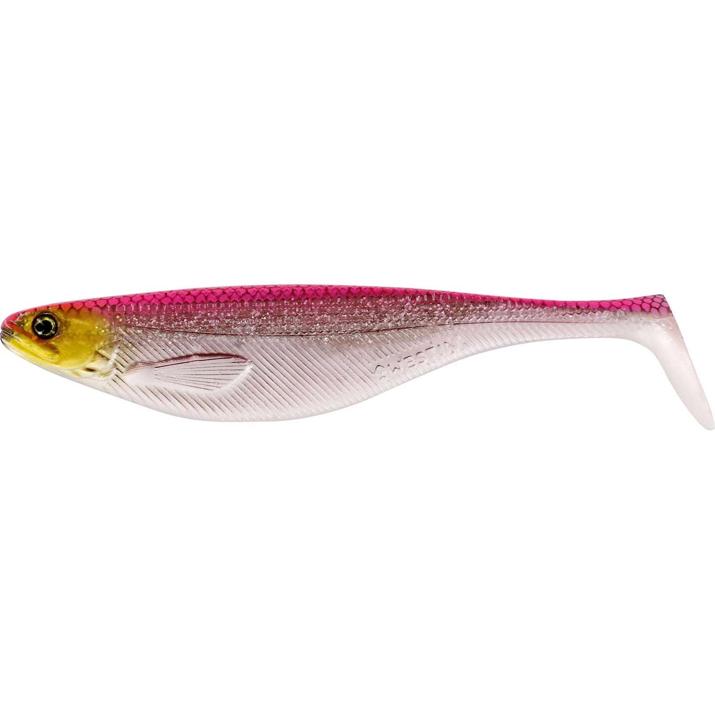 Westin Shad Teez Blister Pink Headlight